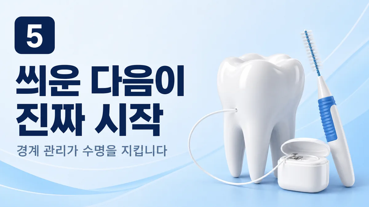 크라운 관리 — 경계 관리가 수명을 지킵니다