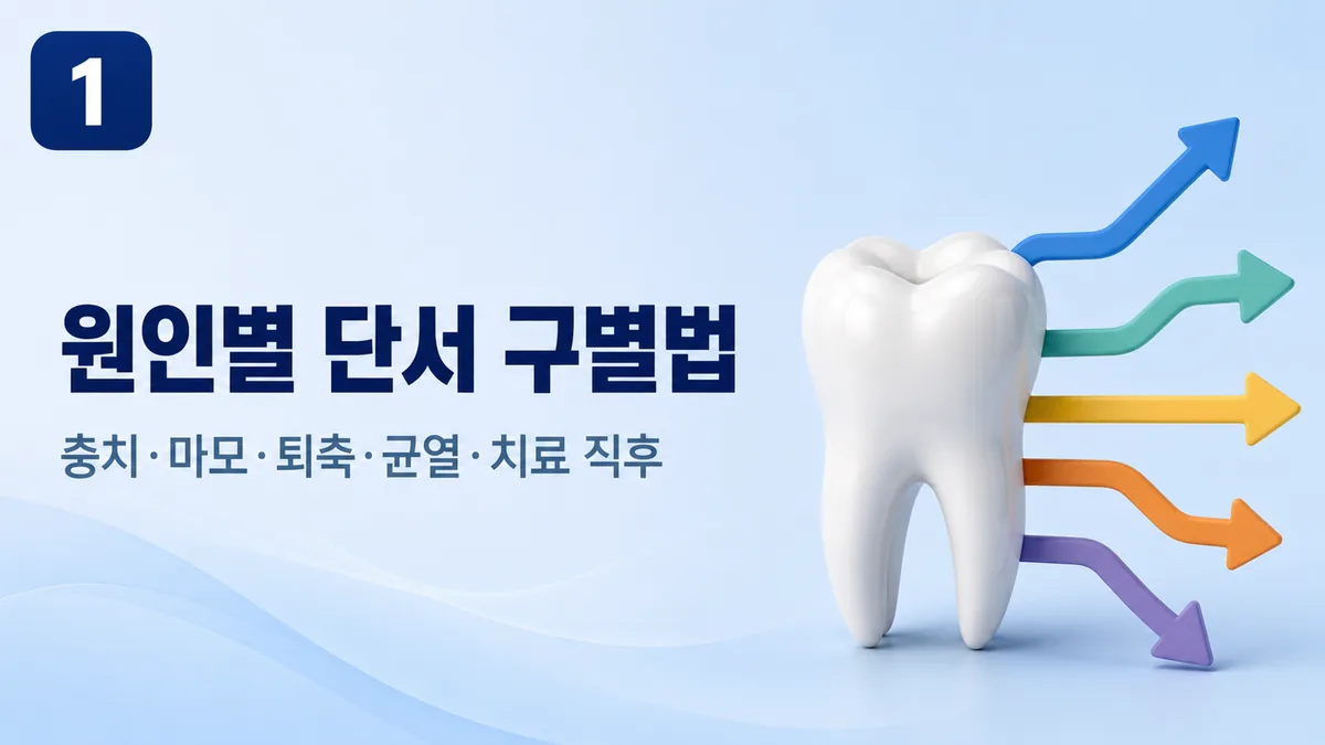시린 이 원인별 단서, 충치·마모·퇴축·균열·치료 직후를 구별합니다