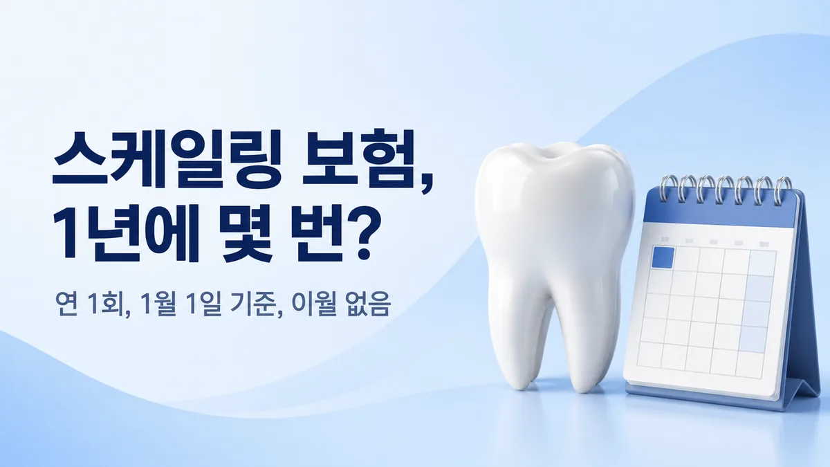 강동구 스케일링 보험 안내, 연 1회·1월 1일 기준·이월 없음