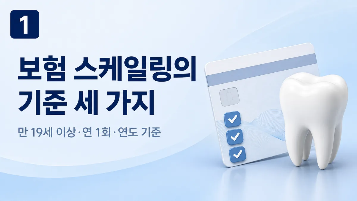 보험 스케일링의 기준 세 가지, 만 19세 이상·연 1회·연도 기준