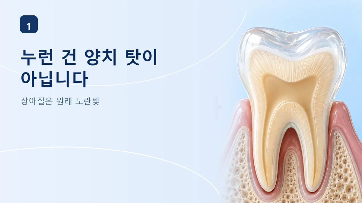 이가 누런 건 양치 탓이 아니다, 상아질은 원래 노란빛