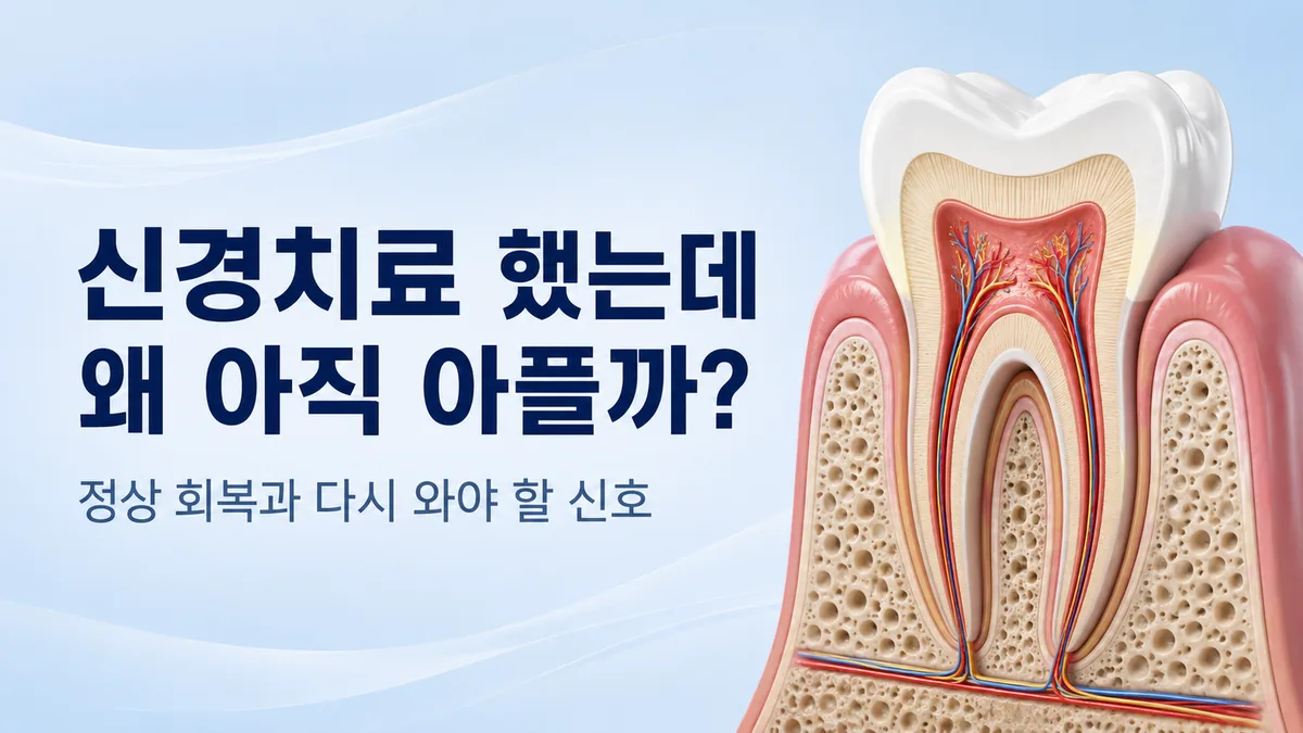 명일동 치과 신경치료 후 통증 안내, 정상 회복과 다시 와야 할 신호