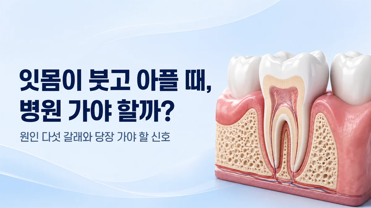 명일역 치과 잇몸 부음 안내, 원인 다섯 갈래와 당장 가야 할 신호