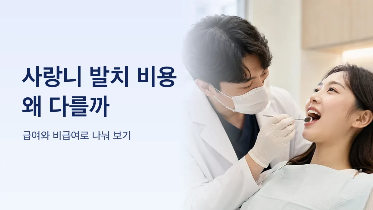 사랑니 발치 비용 항목을 나눈 그림