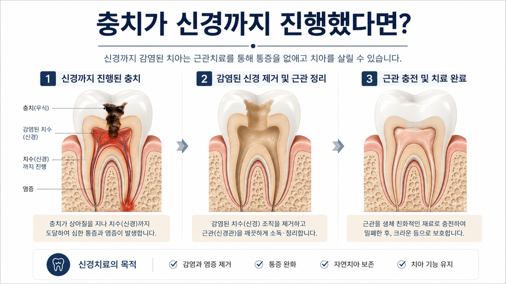 Codex 이미지 2026년 8월 25일 오후 10 23 31