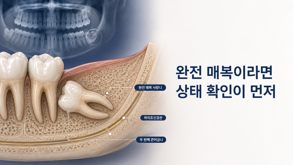 Codex 이미지 2026년 8월 25일 오후 12 58 49