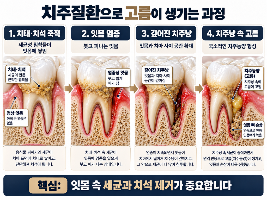 ChatGPT 이미지 2026년 10월 4일 오후 09 35 05 1